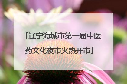 辽宁海城市第一届中医药文化夜市火热开市