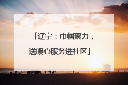 辽宁：巾帼聚力，送暖心服务进社区