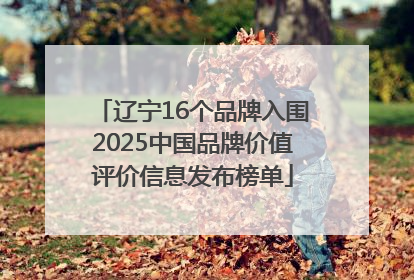 辽宁16个品牌入围2025中国品牌价值评价信息发布榜单