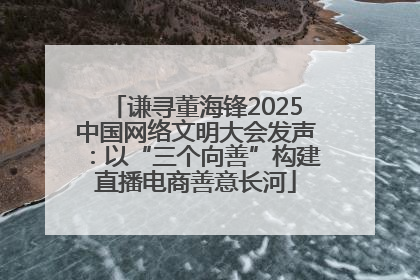 谦寻董海锋2025中国网络文明大会发声：以“三个向善”构建直播电商善意长河