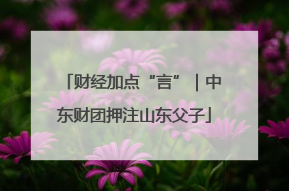 财经加点“言”｜中东财团押注山东父子