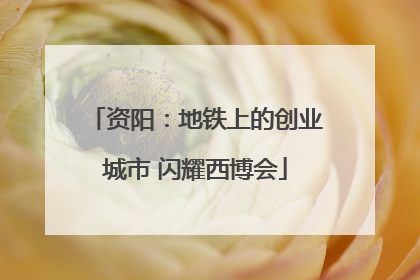 资阳：地铁上的创业城市 闪耀西博会
