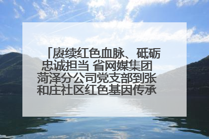 赓续红色血脉、砥砺忠诚担当 省网媒集团菏泽分公司党支部到张和庄社区红色基因传承馆开展主题党日活动