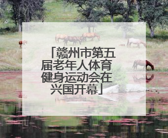 赣州市第五届老年人体育健身运动会在兴国开幕