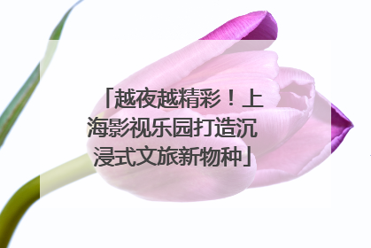 越夜越精彩！上海影视乐园打造沉浸式文旅新物种