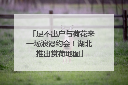 足不出户与荷花来一场浪漫约会！湖北推出赏荷地图