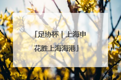足协杯｜上海申花胜上海海港