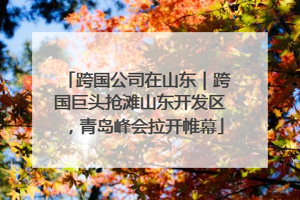 跨国公司在山东｜跨国巨头抢滩山东开发区，青岛峰会拉开帷幕
