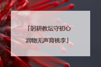 躬耕教坛守初心 润物无声育桃李
