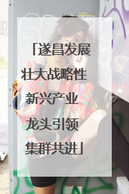 遂昌发展壮大战略性新兴产业 龙头引领 集群共进