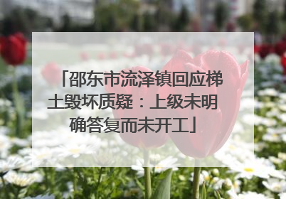 邵东市流泽镇回应梯土毁坏质疑：上级未明确答复而未开工