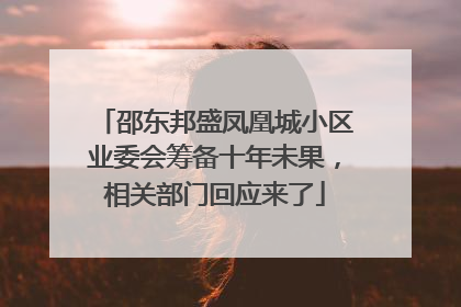 邵东邦盛凤凰城小区业委会筹备十年未果，相关部门回应来了