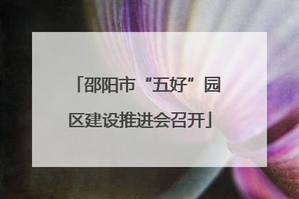 邵阳市“五好”园区建设推进会召开