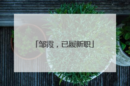 邹霞，已履新职
