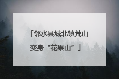 邻水县城北镇荒山变身“花果山”