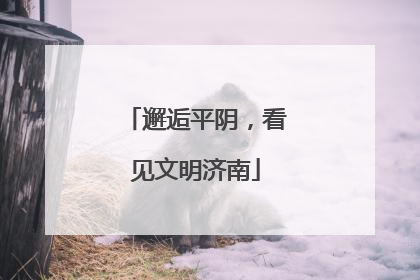 邂逅平阴，看见文明济南