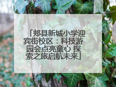 郏县新城小学迎宾街校区：科技游园会点亮童心 探索之旅启航未来