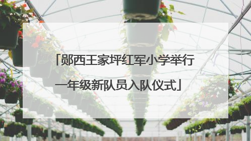 郧西王家坪红军小学举行一年级新队员入队仪式