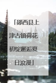 郧西县上津古镇荷花初绽邂逅夏日浪漫