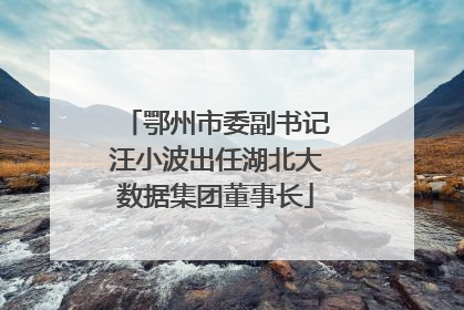 鄂州市委副书记汪小波出任湖北大数据集团董事长