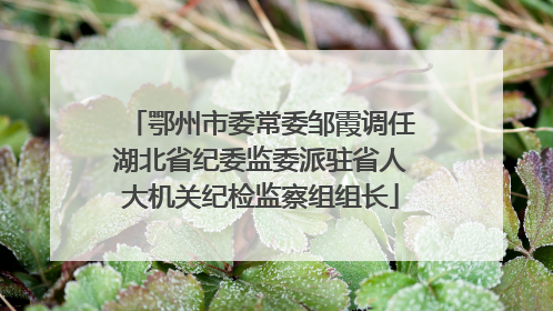 鄂州市委常委邹霞调任湖北省纪委监委派驻省人大机关纪检监察组组长