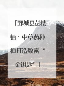 鄄城县彭楼镇：中草药种植打造致富“金钥匙”