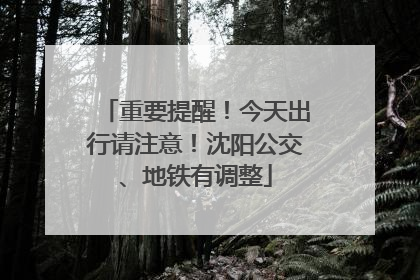 重要提醒！今天出行请注意！沈阳公交、地铁有调整