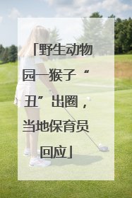 野生动物园一猴子“丑”出圈，当地保育员回应
