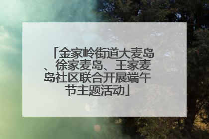 金家岭街道大麦岛、徐家麦岛、王家麦岛社区联合开展端午节主题活动