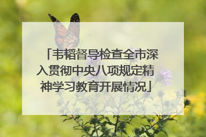 韦韬督导检查全市深入贯彻中央八项规定精神学习教育开展情况