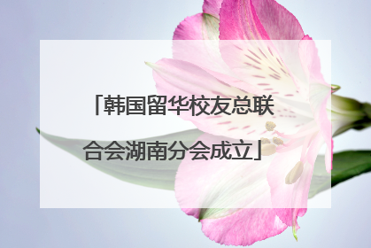 韩国留华校友总联合会湖南分会成立