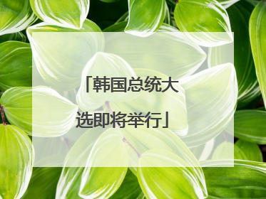 韩国总统大选即将举行