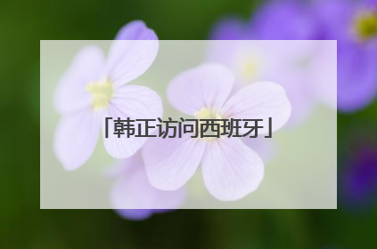 韩正访问西班牙