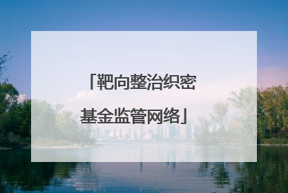 靶向整治织密基金监管网络