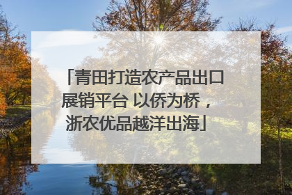 青田打造农产品出口展销平台 以侨为桥，浙农优品越洋出海