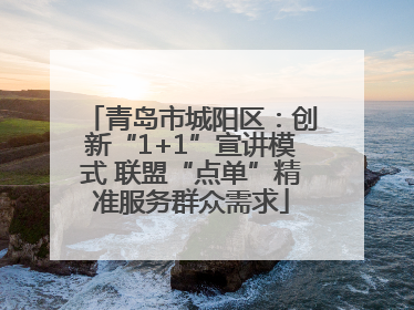 青岛市城阳区：创新“1+1”宣讲模式 联盟“点单”精准服务群众需求