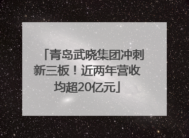 青岛武晓集团冲刺新三板！近两年营收均超20亿元