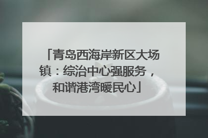 青岛西海岸新区大场镇：综治中心强服务，和谐港湾暖民心