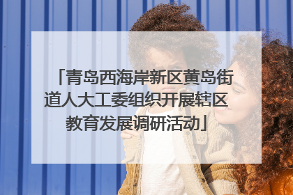 青岛西海岸新区黄岛街道人大工委组织开展辖区教育发展调研活动