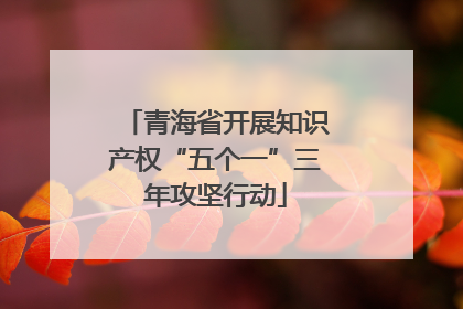 青海省开展知识产权“五个一”三年攻坚行动