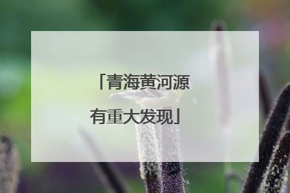 青海黄河源有重大发现