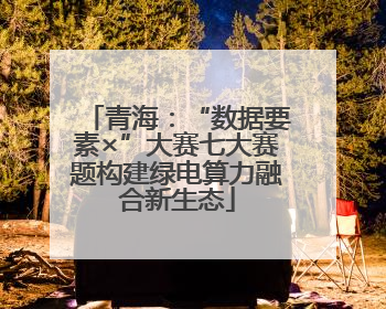 青海：“数据要素×”大赛七大赛题构建绿电算力融合新生态