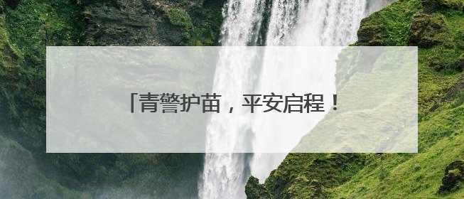 青警护苗，平安启程！武汉青山交警开展交通安全宣传进校园活动