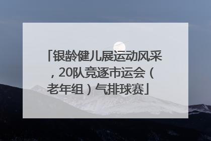 银龄健儿展运动风采，20队竞逐市运会（老年组）气排球赛