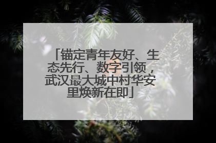 锚定青年友好、生态先行、数字引领，武汉最大城中村华安里焕新在即