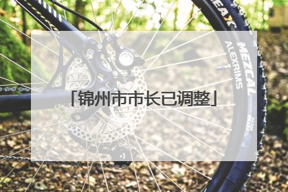 锦州市市长已调整