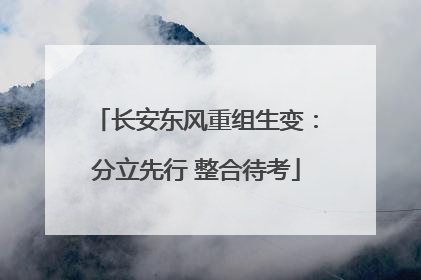 长安东风重组生变：分立先行 整合待考