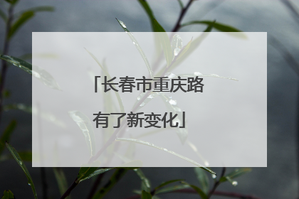 长春市重庆路有了新变化