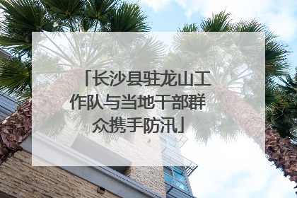 长沙县驻龙山工作队与当地干部群众携手防汛