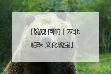 镜观·回响丨塞北明珠 文化瑰宝